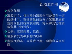 烹飪與膳食管理基礎(chǔ) 餐飲管理的關(guān)鍵要素